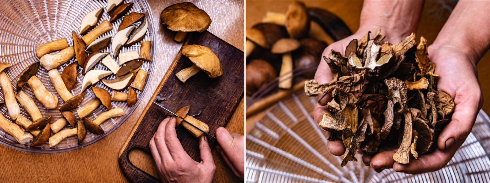 Najčastejšie chyby pri sušení húb a ako sa im vyhnúť